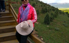 凤凰卫视晓田间谍罪